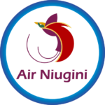 Air Niugini